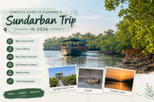 Complete Guide to Planning a Sundarban Trip in 2026